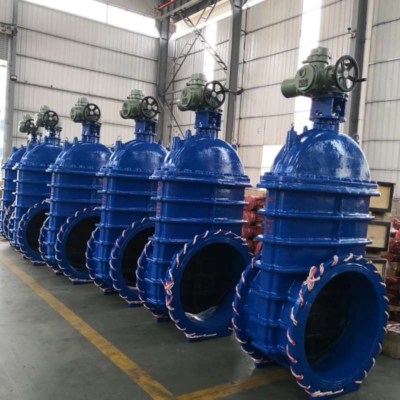 大口徑電動閘閥